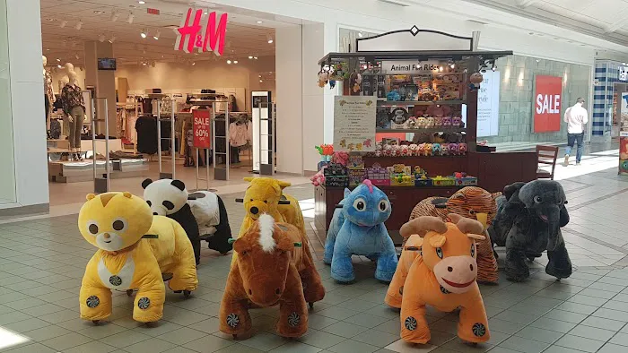 Animal Fun Rides 2