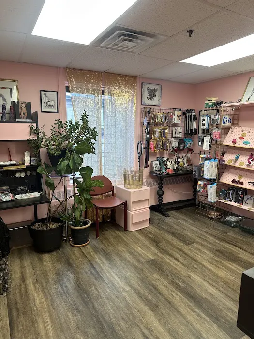 F.E.M. Shop 0