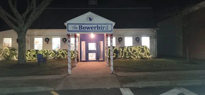 The Bowerbird 5