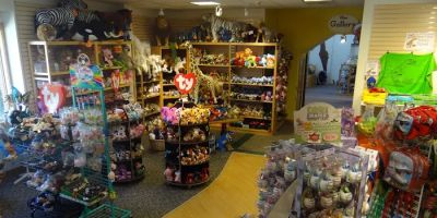Ageless Toy Shop at Nature's Art Village