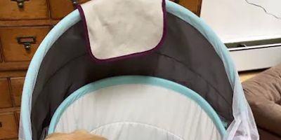 The Little