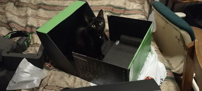 GameStop 0