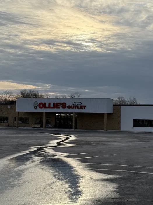 Ollie's Bargain Outlet 5