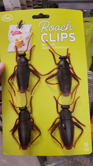 Kohl's 4