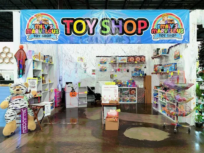 Emily's Marvelous Toy Shop 9