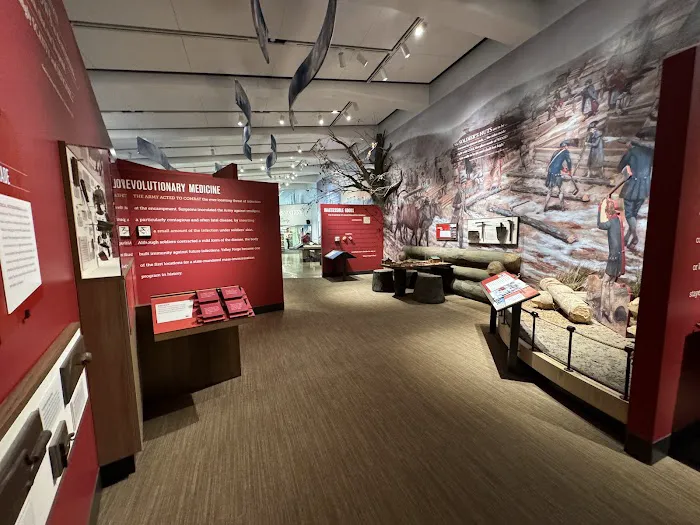 The Encampment Store 5