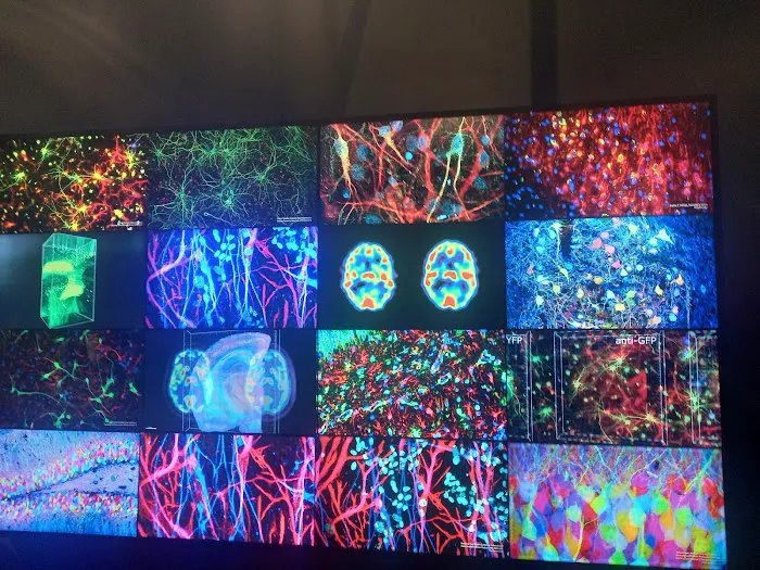 Sci-Store at The Franklin Institute 3