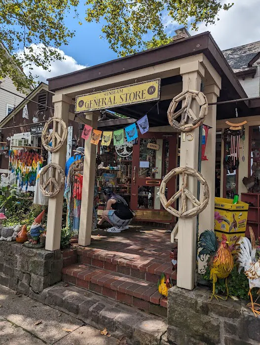 Sunbeam General Store 3