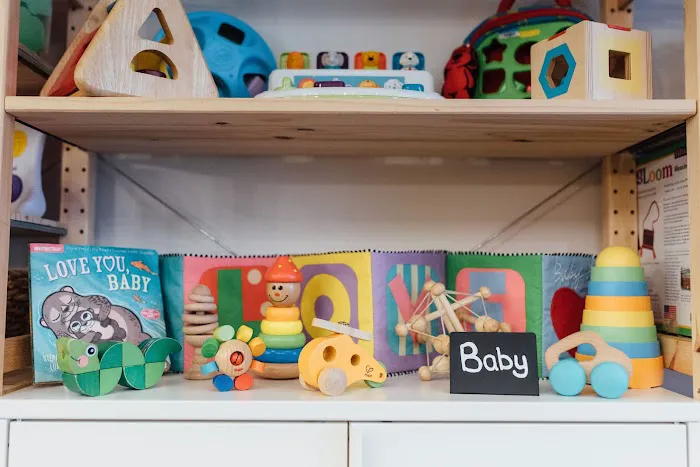 Rutabaga Toy Library 1