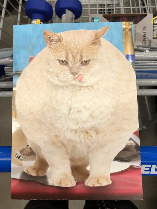 Five Below 3
