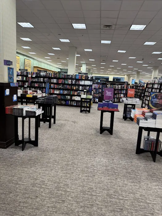 Barnes & Noble 7