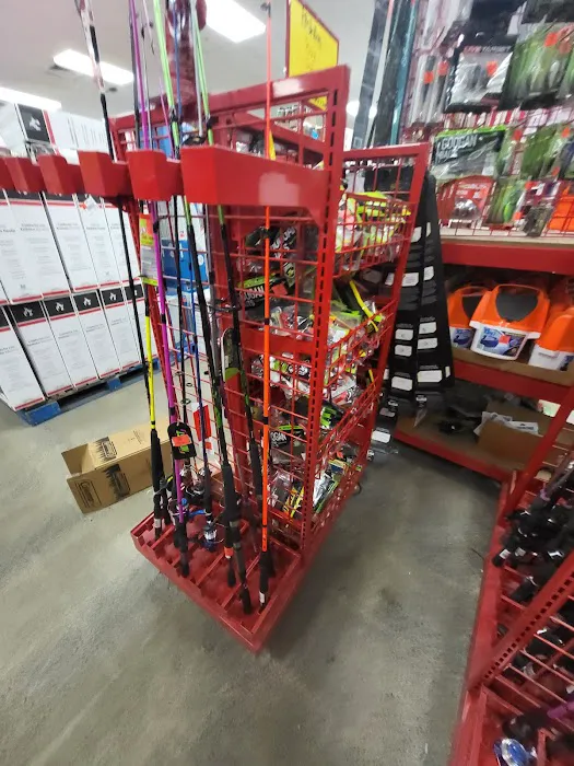 Ollie's Bargain Outlet 1