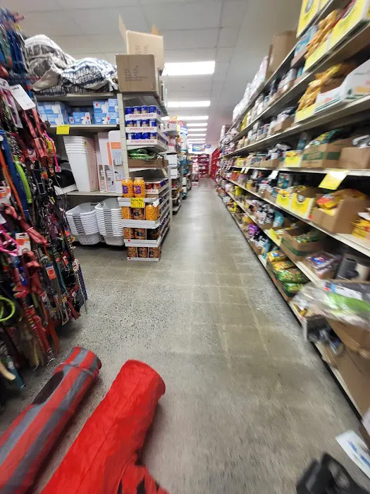 Ollie's Bargain Outlet 7