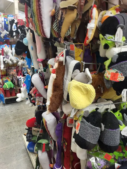 Ollie's Bargain Outlet 6