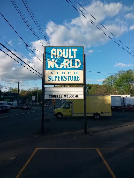 Adult World 1