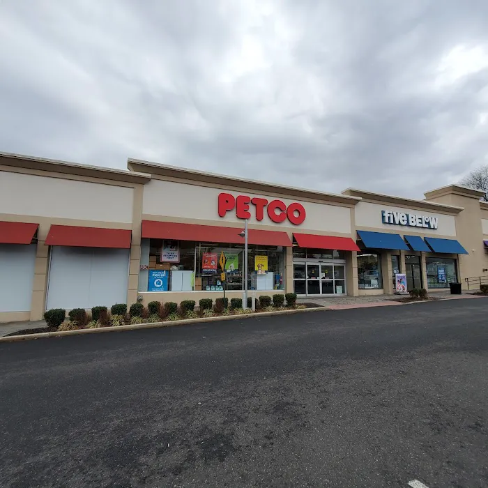 Five Below 5