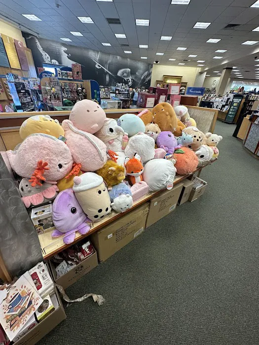 Barnes & Noble 8