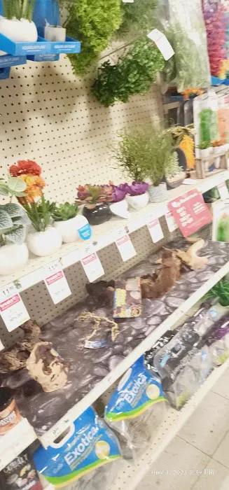 Five Below 2