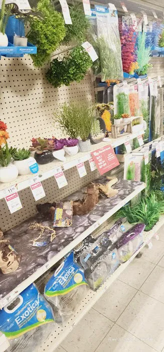 Five Below 3