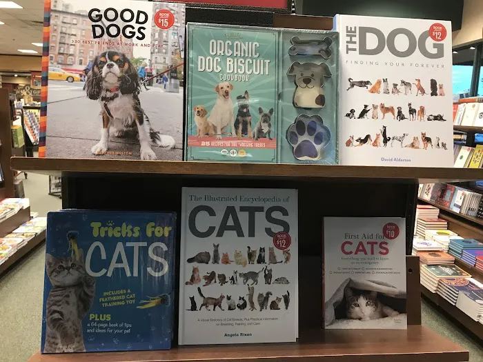 Barnes & Noble 3