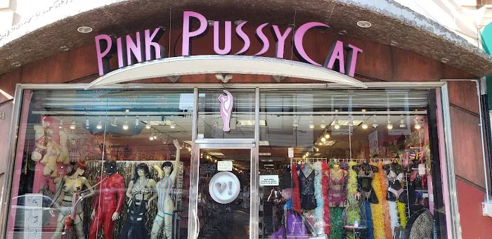 The Pink Pussycat Boutique 5