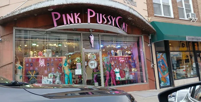 The Pink Pussycat Boutique 3