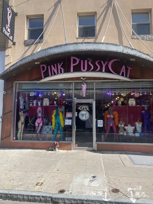 The Pink Pussycat Boutique 1