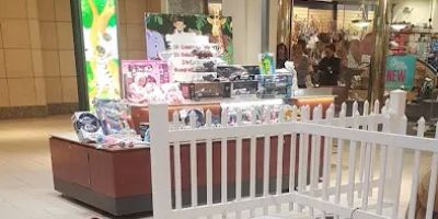 Animal Fun Rides@Deptford mall