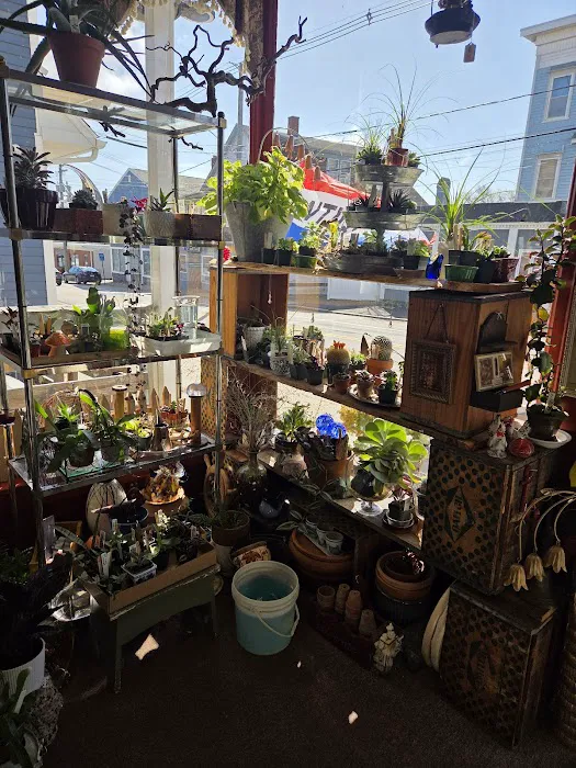 Frankly Toys & Antiques 3