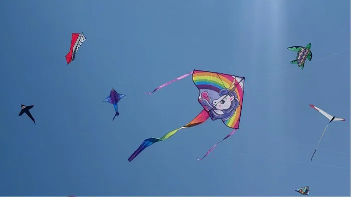 Kitt Kites 4