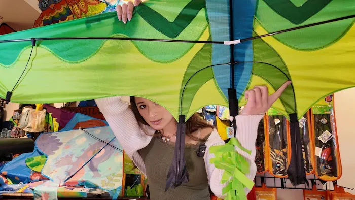 Kitt Kites 3