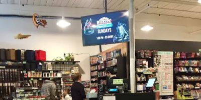 Untapped Games