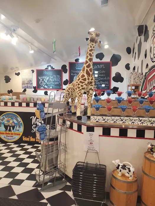 Imagine Gift Store 5