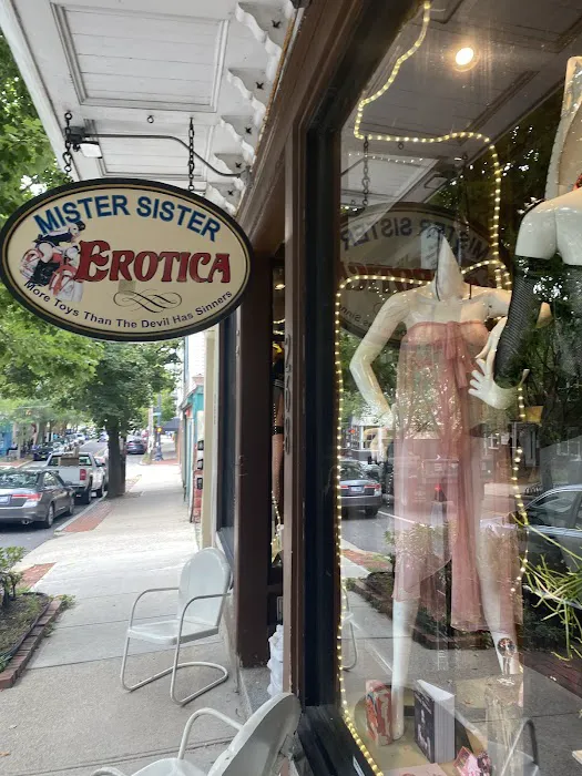Mister Sister Erotica 1