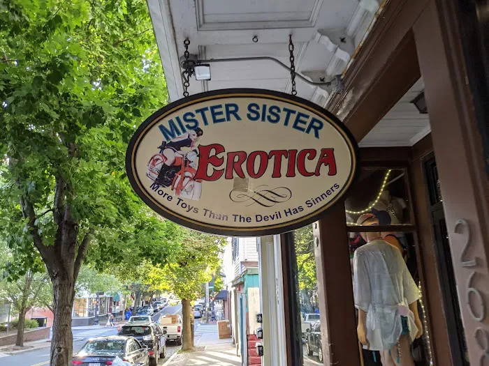 Mister Sister Erotica 2