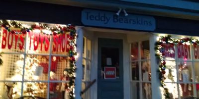 Teddy Bearskins