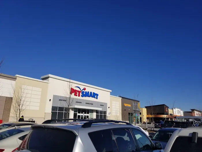 Five Below 2