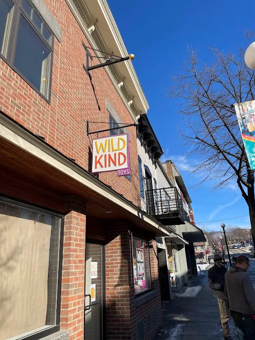 Wild Kind Toys 3