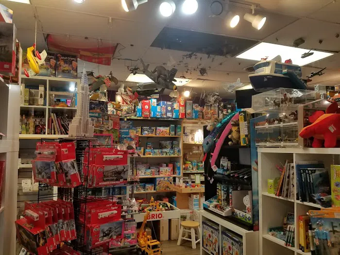 Shananigans Toy Shop 5