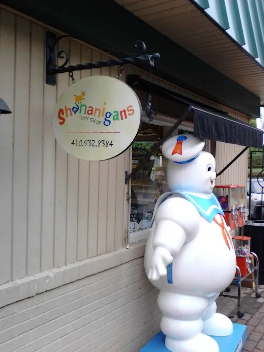 Shananigans Toy Shop 4