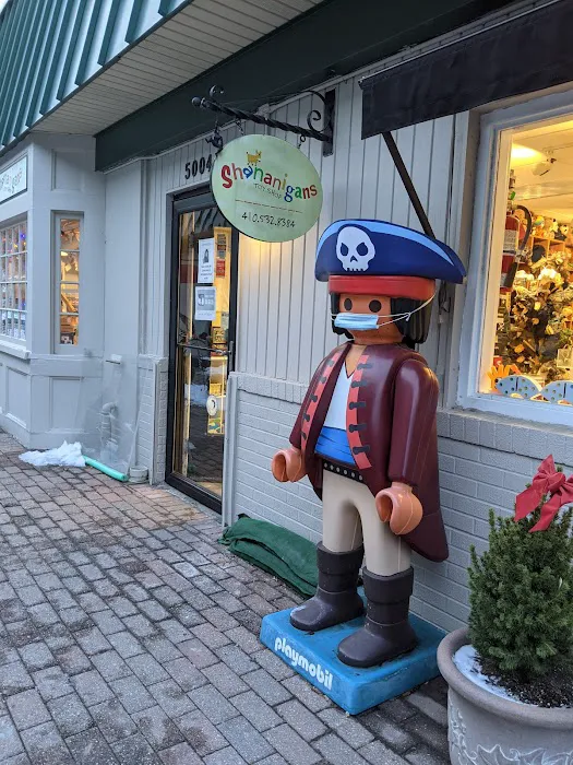 Shananigans Toy Shop 1