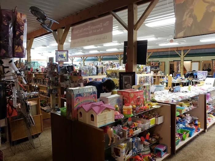 The Treasure Trove Toy Store 4