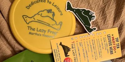 The Lazy Frog