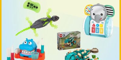 The Ultimate Guide to Parents' Favorite Toy Brands and Why They Choose Them