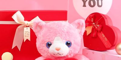Cute Plush Toys for Valentine's Day: Perfect Gifts for Your Loved Ones